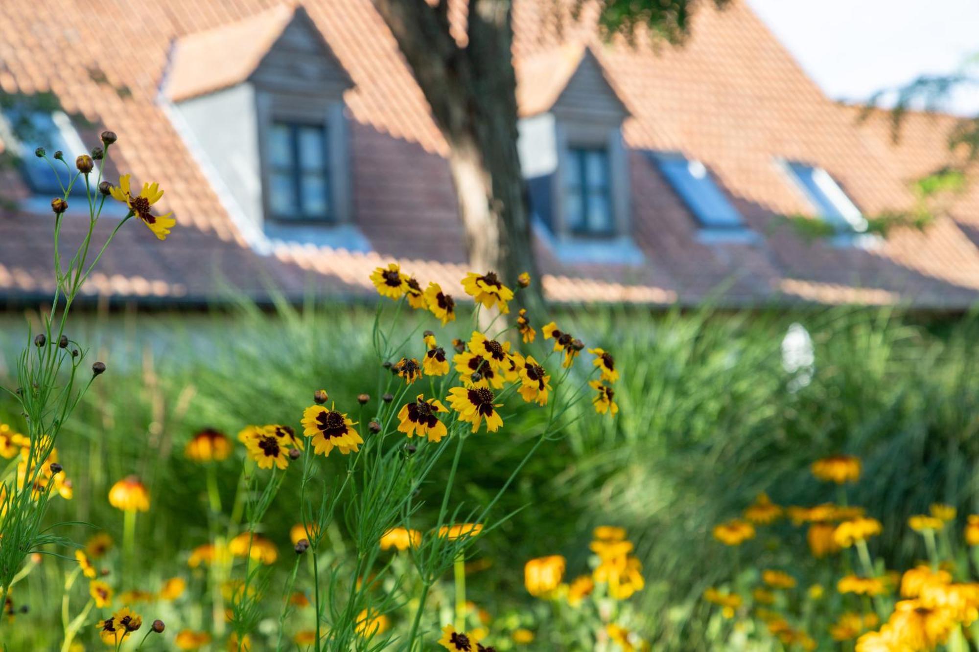 Hotel Le Cap Hornu Saint-Valery-sur-Somme
